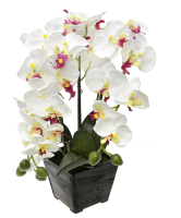 Цветочная композиция "Орхидея" 37см в дер/кашпо д11,5см h10см цвета микс (ДМ) 1993, , шт в интернет-магазине Патент24.рф