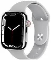 Смарт-часы TFN ONYX (TFN-SW-TWONYXGY) Серый в интернет-магазине Патент24.рф