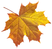 Лучшее предложение месяца!