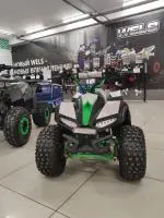 Комплект WELS TUKAH 110 (зеленый), , шт в интернет-магазине Патент24.рф