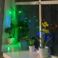 Электрогирлянда-бахрома ECO IP20, 1,8х0,5м Н.Т. LED-48-220V, 8реж, мульти 3556836, , шт в интернет-магазине Патент24.рф