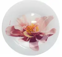 Тарелка из упроч. стекла "Уотер Лили д195мм 4цв , , шт в интернет-магазине Патент24.рф