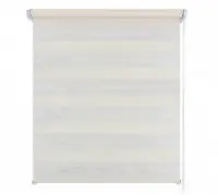 Рулонная штора День-Ночь 47х160 молочный, , шт в интернет-магазине Патент24.рф