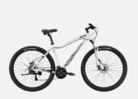 Велосипед TECH TEAM ELIS 29 disc (29" 21ск. рост 19") ALU белый, , шт в интернет-магазине Патент24.рф