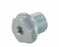 Гайка - пробка FS-55, , шт в интернет-магазине Патент24.рф