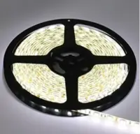 Лента св/д. Ecola 5м SMD5050 12V 14,4W/m 60Led/m IP20 хол 4200К P2LV14ESB, , шт в интернет-магазине Патент24.рф