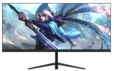 Монитор NPC MA3010-V 29" черный в интернет-магазине Патент24.рф