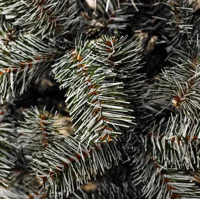 Ель иск 2,0м "Милана" пленка ПВХ зелен/бел ветка 9см шир 110см "Natural", , шт в интернет-магазине Патент24.рф