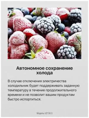 Морозильная камера Hansa UZ130.3 в интернет-магазине Патент24.рф