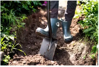 Лопата для земляных работ Plantic Terra 11003-01, , шт в интернет-магазине Патент24.рф