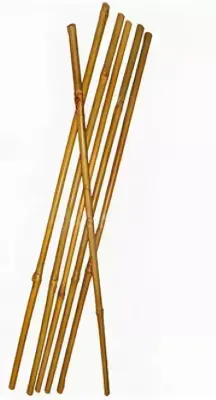 Опора бамбуковая д/растений 60см, 5шт., , шт в интернет-магазине Патент24.рф