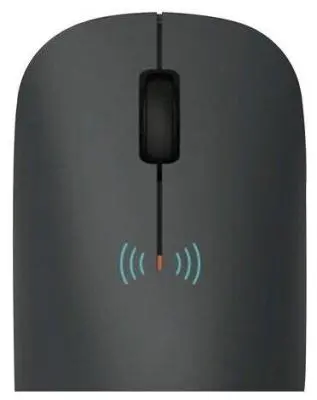 Мышь Xiaomi Mi Wireless Mouse Lite Black (BHR6099GL) в интернет-магазине Патент24.рф Мышь Xiaomi Mi Wireless Mouse Lite Black (BHR6099GL) в интернет-магазине Патент24.рф