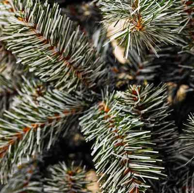 Ель иск 1,8м "Милана" пленка ПВХ зелен/бел ветка 9см шир 104см "Natural", , шт в интернет-магазине Патент24.рф