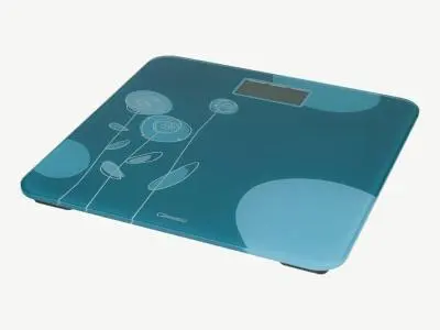 Весы напольные Tefal PP1533V0 в интернет-магазине Патент24.рф