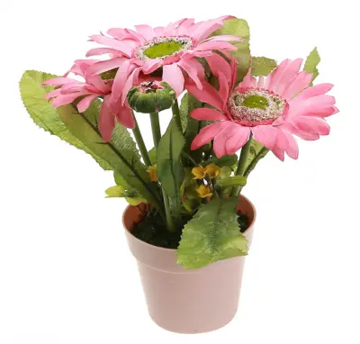 Цветочная композиция "Герберы" 19см в пл/горшке д8,5см h7,5см цвета микс (ДМ), , шт в интернет-магазине Патент24.рф