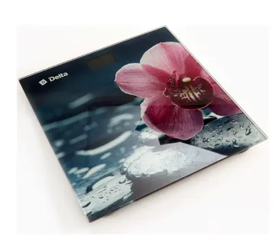 Весы напольные Delta D-9232 в интернет-магазине Патент24.рф Весы напольные Delta D-9232 в интернет-магазине Патент24.рф