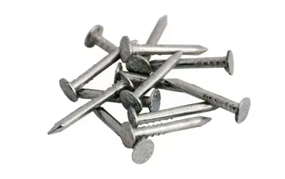 Гвозди толевые 2,0х25 (1 кг), , упак в интернет-магазине Патент24.рф