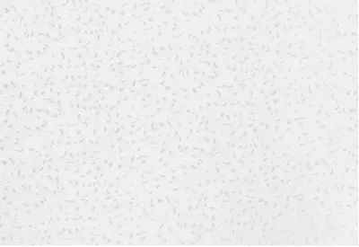 Мини Ролета Блэкаут Кристалл 66х175 белый ГП, , шт в интернет-магазине Патент24.рф