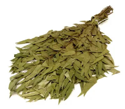 Веник эвкалиптовый, , шт в интернет-магазине Патент24.рф