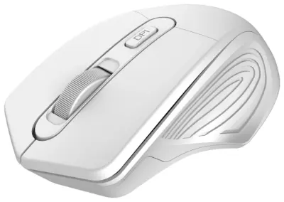 Мышь Canyon CNE-CMSW15PW в интернет-магазине Патент24.рф