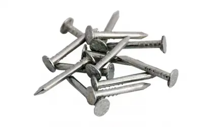 Гвозди толевые 2,0х20 (1 кг), , упак в интернет-магазине Патент24.рф