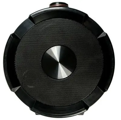 Портативная колонка Dialog Progressive AP-1000 1.0, 16W RMS, Bluetooth, FM+USB reader в интернет-магазине Патент24.рф