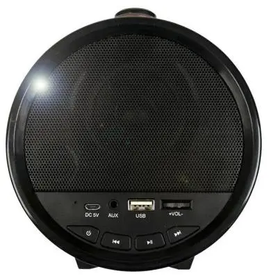 Портативная колонка Dialog Progressive AP-1000 1.0, 16W RMS, Bluetooth, FM+USB reader в интернет-магазине Патент24.рф