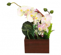 Цветочная композиция "Орхидея" 22см в дер/кашпо 12х6см h21,5см цвета микс (ДМ)  , , шт в интернет-магазине Патент24.рф